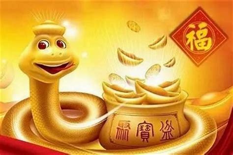 金蛇年是哪一年|金蛇年是哪些年份 金蛇五行属金吗